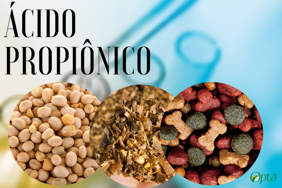 Ácido Propiônico