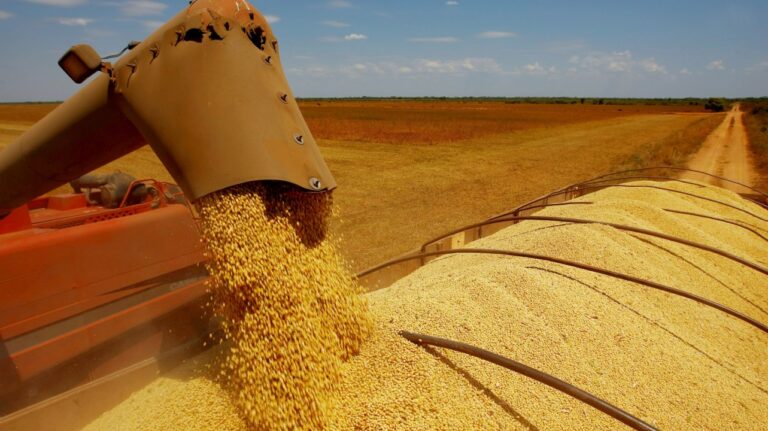 Concentrado Proteico de Soja, uma análise mais aprofundada