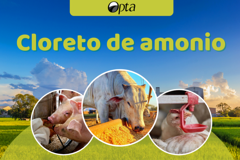 Cloreto de Amônio