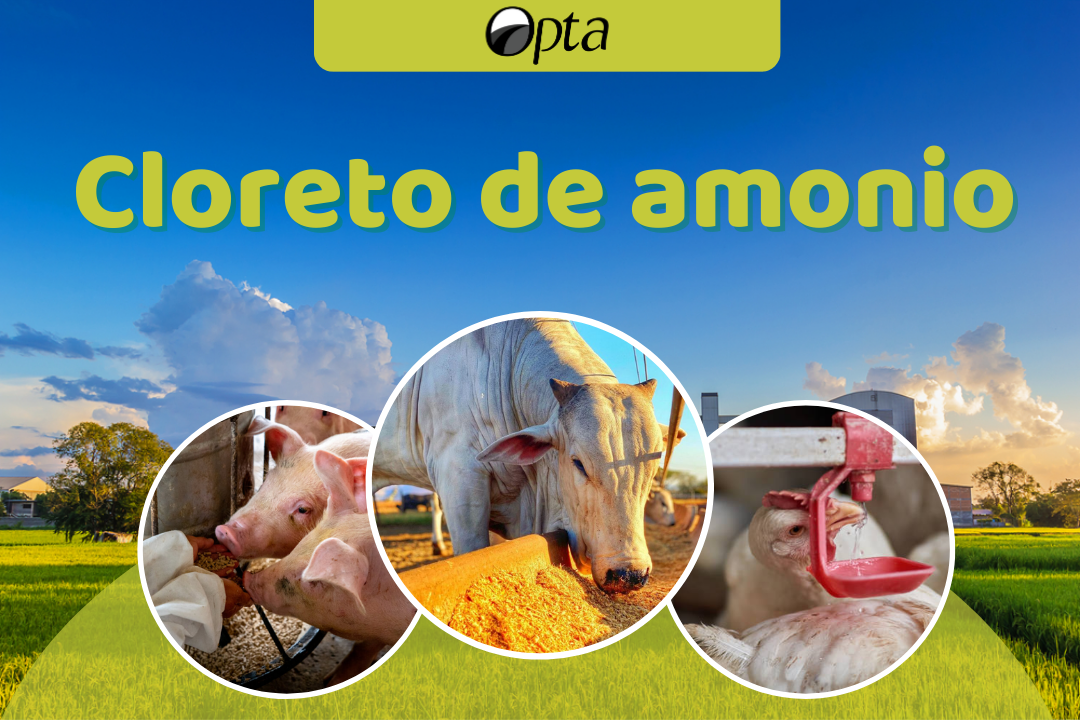 Cloreto de Amônio
