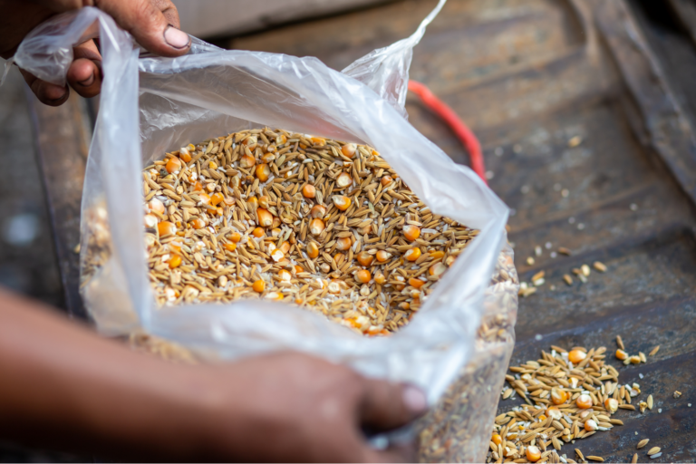 Fibra alimentar: avanços na nutrição de monogástricos