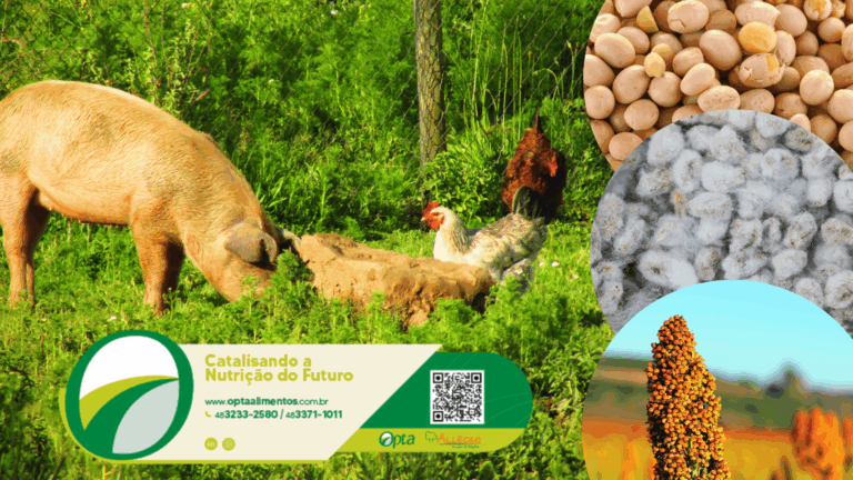 Antinutricionais de importância na nutrição animal