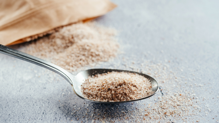 Fibras dietéticas: nutrição e saúde intestinal em foco