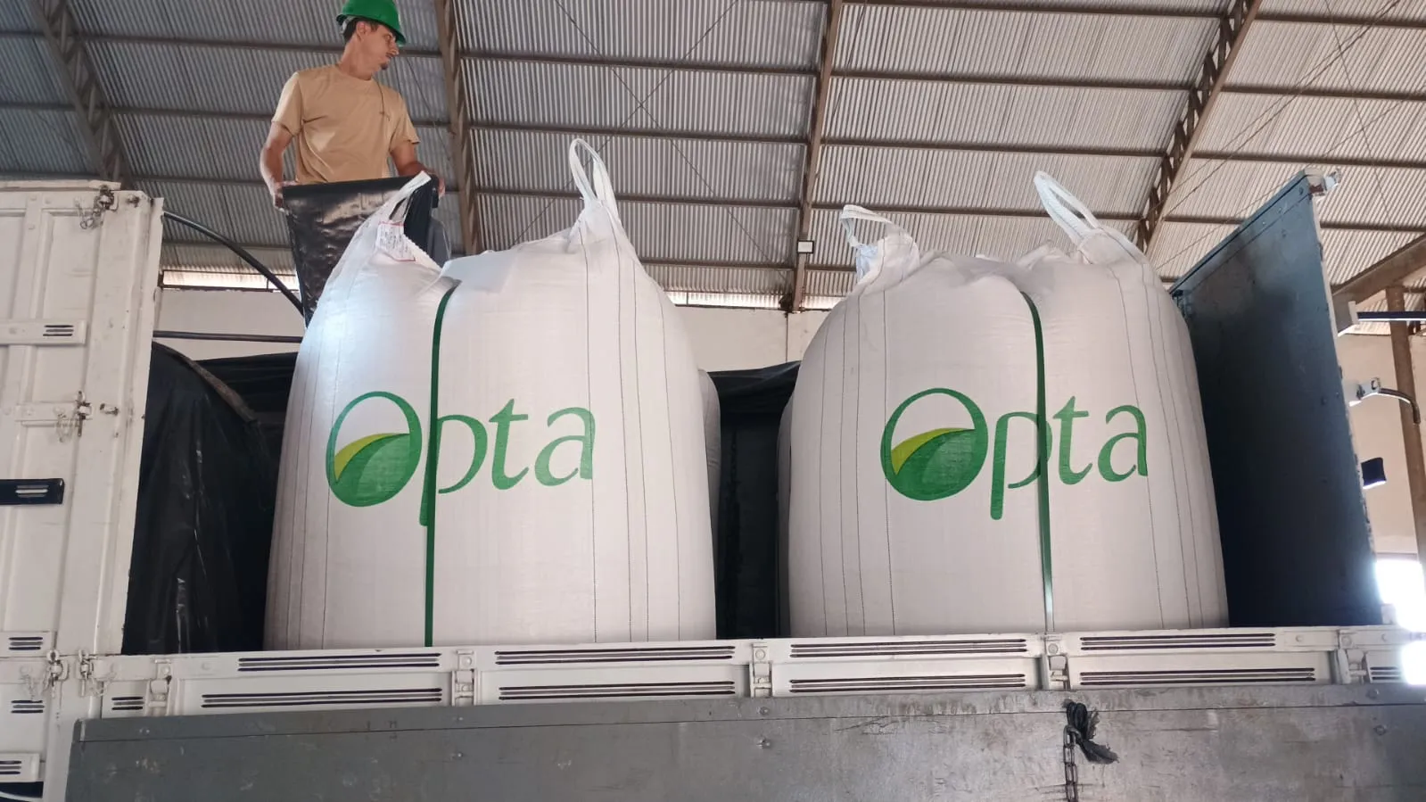 grais especiais para agronegócio ()