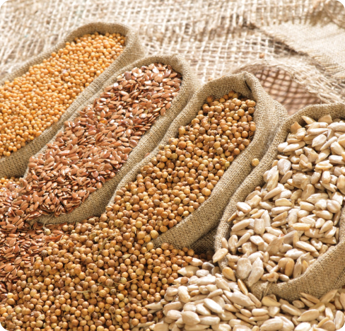 grais especiais para agronegócio ()