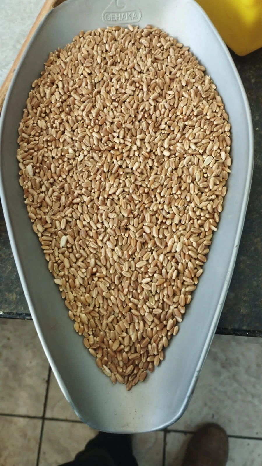 graos especiais para agronegocio ()