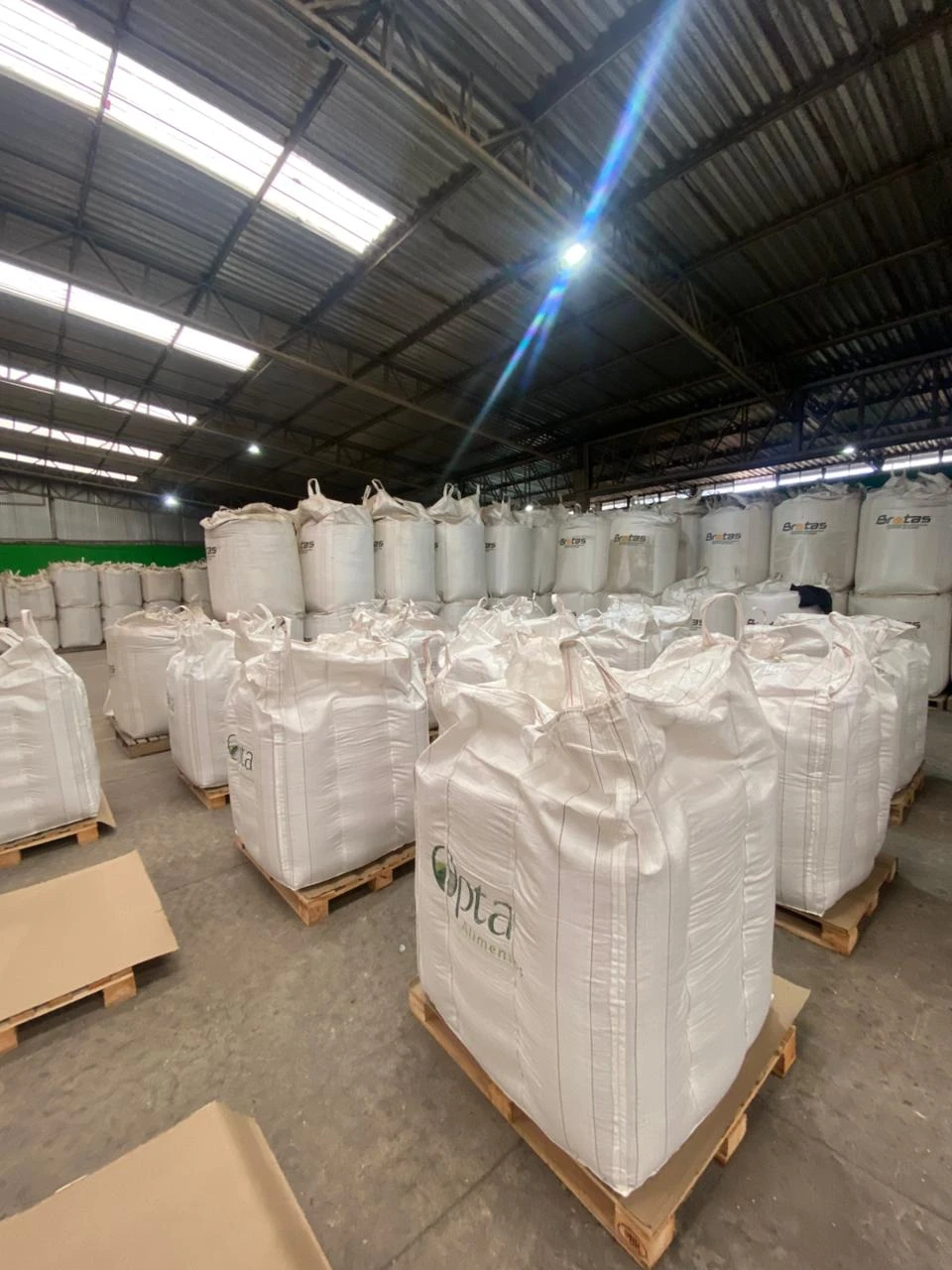 graos especiais para agronegocio ()