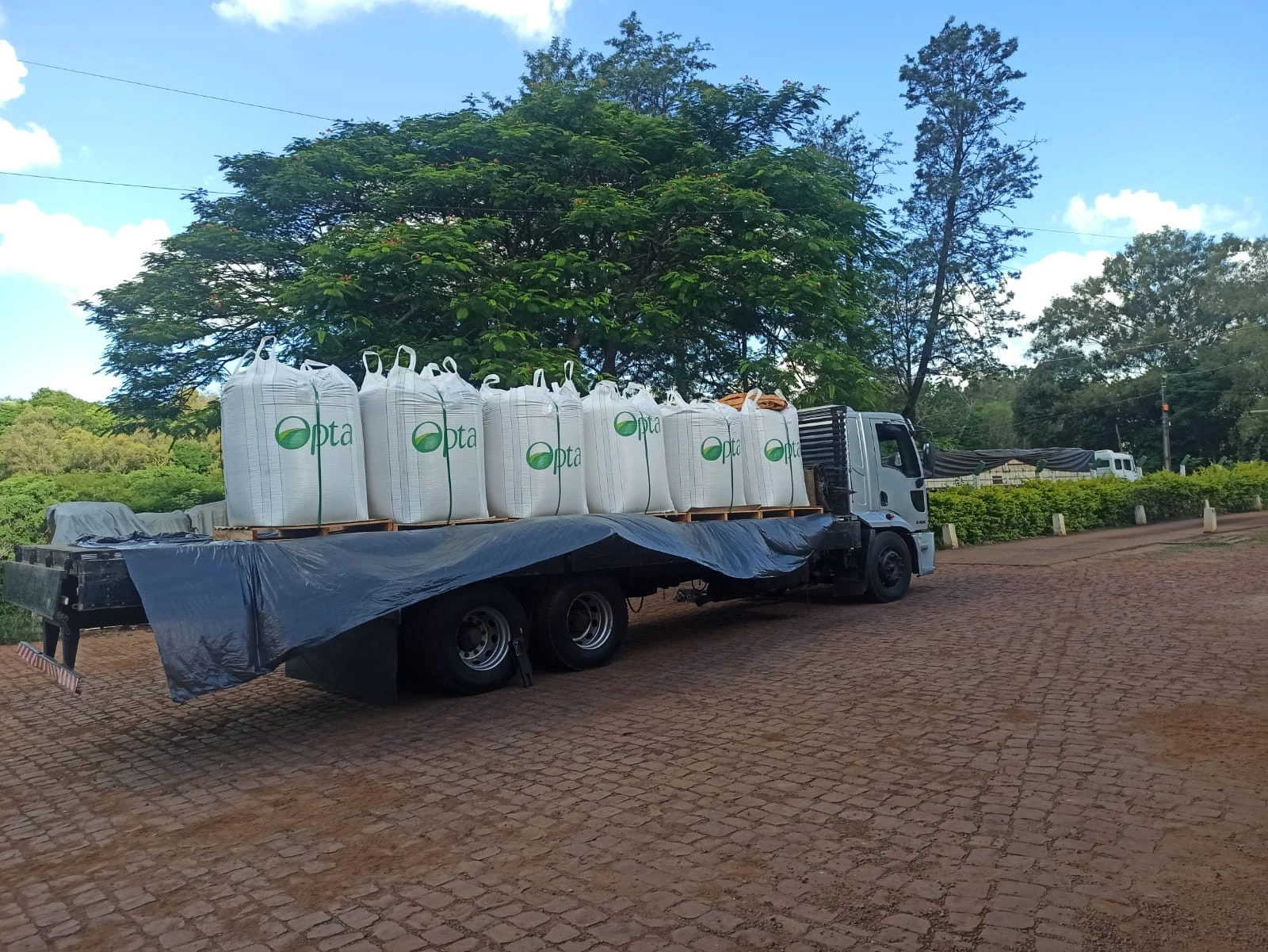 graos especiais para agronegocio ()