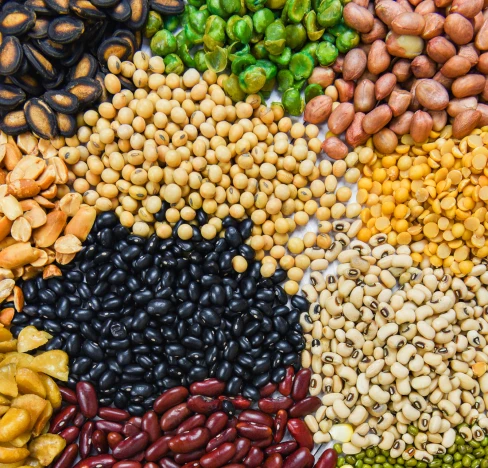 graos especiais para agronegocio