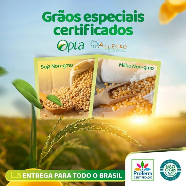 Grãos Certificados – Sustentabilidade e segurança
